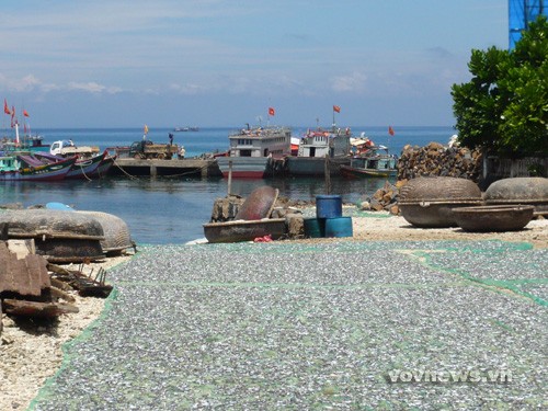 A visit to Ly Son islands - ảnh 3